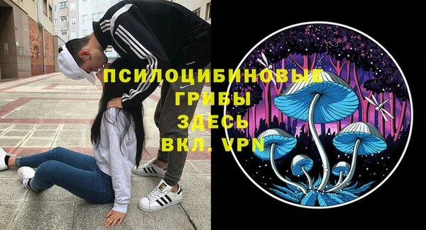 spice Медногорск