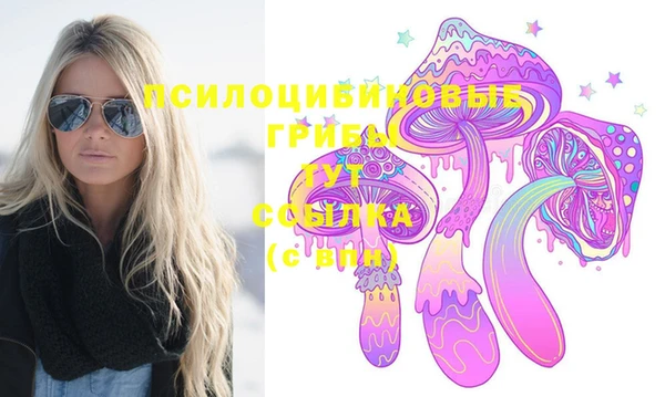 соль ск Михайловка